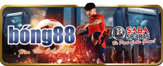 Giới thiệu nền tảng SX66